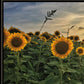 Midwest Livin I 3 Black Framed Print Wall Art