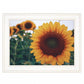 Midwest Livin II 2 White Framed Print Wall Art