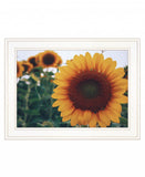Midwest Livin II 2 White Framed Print Wall Art