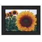 Midwest Livin II 3 Black Framed Print Wall Art