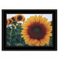 Midwest Livin II 3 Black Framed Print Wall Art