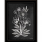Vintage Chalkboard Flowers Black Framed Print Wall Art