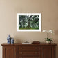 Enchanted Forest I 2 White Framed Print Wall Art