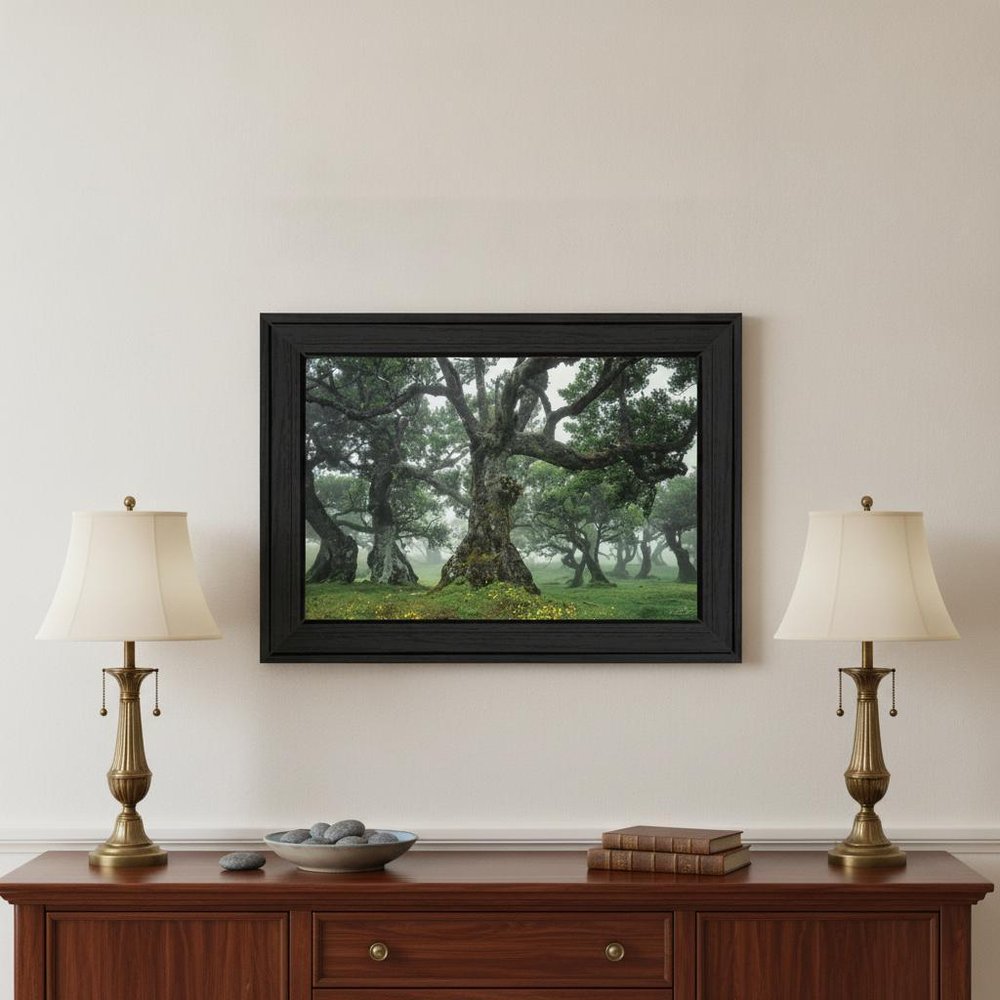 Enchanted Forest I 2 White Framed Print Wall Art