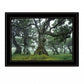 Enchanted Forest I 2 White Framed Print Wall Art