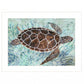 Sea Turtles Collage 1 White Framed Print Wall Art