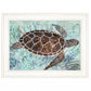 Sea Turtles Collage 1 White Framed Print Wall Art