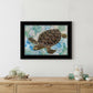 Sea Turtles Collage II 2 Black Framed Print Wall Art
