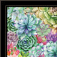 Succulents Paradise 2 White Framed Print Wall Art