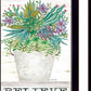Set Of Two Succulents Dream and Believe Black Framed Print Wall Art