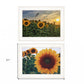 Set Of Two Midwest Living 1 White Framed Print Wall Art