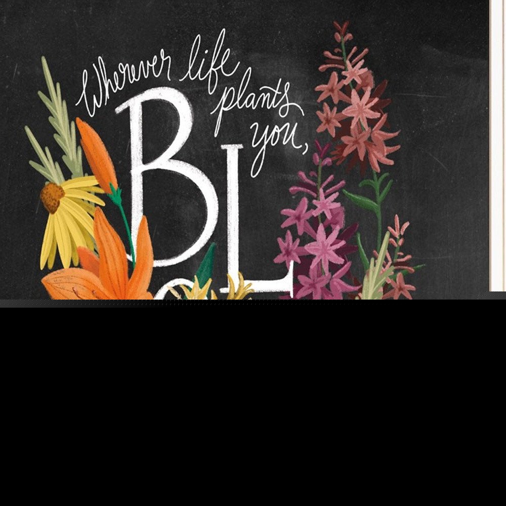 Set Of Two Love and Bloom White Framed Print Wall Art