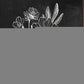 Set Of Two Vintage Flowers in Bloom Black Framed Print Wall Art