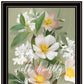 Set Of Two Farmhouse Daisies Black Framed Print Wall Art
