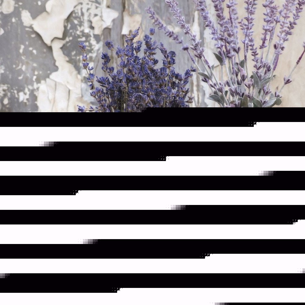 Set Of Three Love Life And Lavender White Framed Print Wall Art