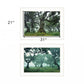 Set Of Two Enchanted Forest 1 White Framed Print Wall Art