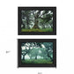 Set Of Two Enchanted Forest 2 Black Framed Print Wall Art
