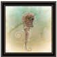 Set Of Two The Sea III and Sea IV 1 Black Framed Print Wall Art