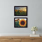 Set Of Two Midwest Living 4 Black Framed Print Wall Art