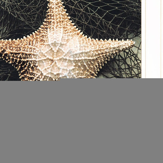 Set Of Two Ocean Net White Framed Print Wall Art