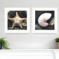 Set Of Two Ocean Net White Framed Print Wall Art