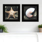 Set Of Two Ocean Net 2 Black Framed Print Wall Art