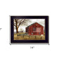 Flag Barn Black Picture Frame Print Wall Art