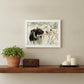 The Winter Robin 2 White Framed Print Wall Art
