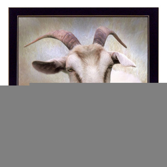 Up Close Goat Black Framed Print Wall Art