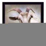 Up Close Goat Black Framed Print Wall Art