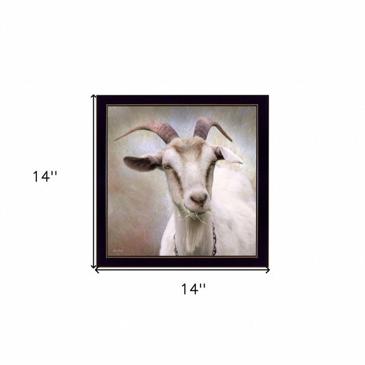 Up Close Goat Black Framed Print Wall Art