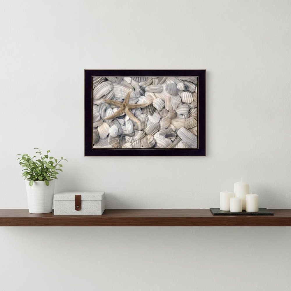 Starfish and Seashell 1 Black Framed Print Wall Art