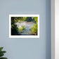 Beauty 2 White Framed Print Wall Art