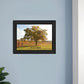 Success 1 Black Framed Print Wall Art