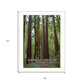 American Strength 2 White Framed Print Wall Art
