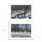 Set Of Two Great Outdoors Nature or Winter Forest 2 White Framed Print Wall Art