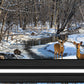 Set Of Two Great Outdoors Nature or Winter Forest 4 Black Framed Print Wall Art
