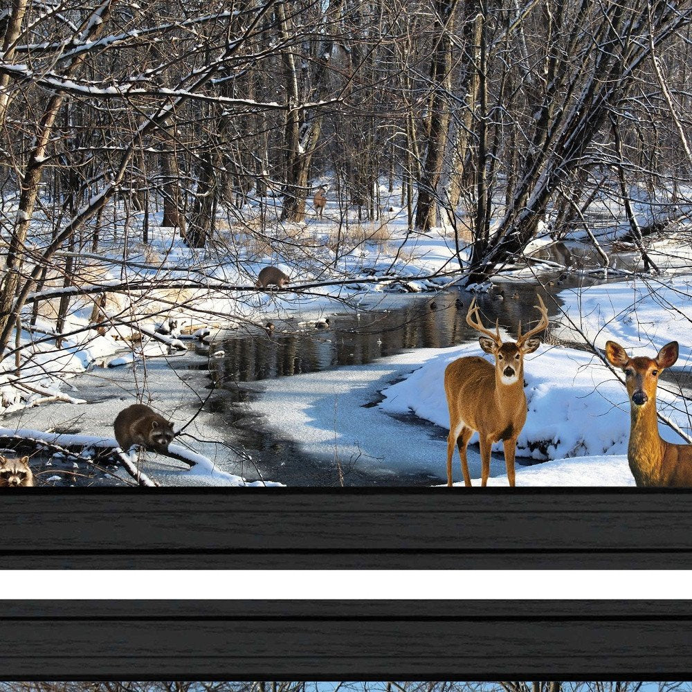 Set Of Two Great Outdoors Nature or Winter Forest 4 Black Framed Print Wall Art