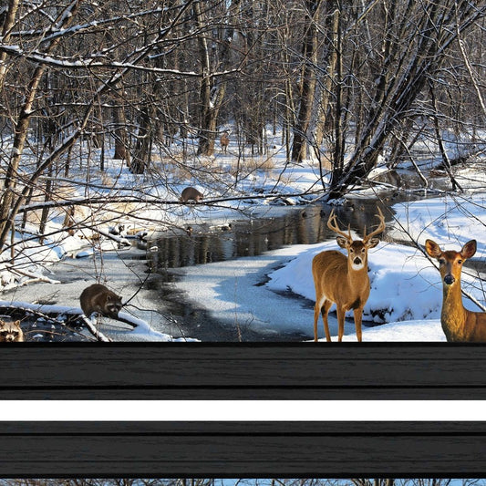 Set Of Two Great Outdoors Nature or Winter Forest 4 Black Framed Print Wall Art