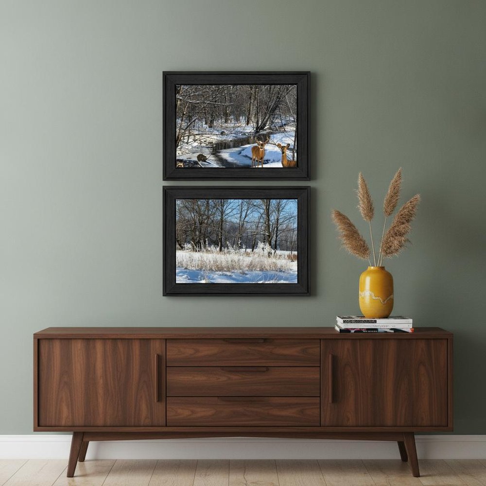 Set Of Two Great Outdoors Nature or Winter Forest 4 Black Framed Print Wall Art