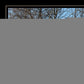 Set Of Two Great Outdoors Nature or Winter Forest 3 Black Framed Print Wall Art
