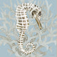 Coral Seahorse I 1 Black Framed Print Wall Art