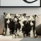 Set of Two 18" Black and White Rabbit Natural Fur Throw Pillow