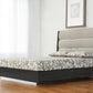 Queen Dark Grey High Gloss Bed Frame with Faux Leather Headboard