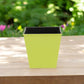 5" Lime Green Recycled Plastic Indoor Outdoor Square Pot Planter