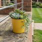 5" Yellow Recycled Plastic Indoor Outdoor Round Pot Planter