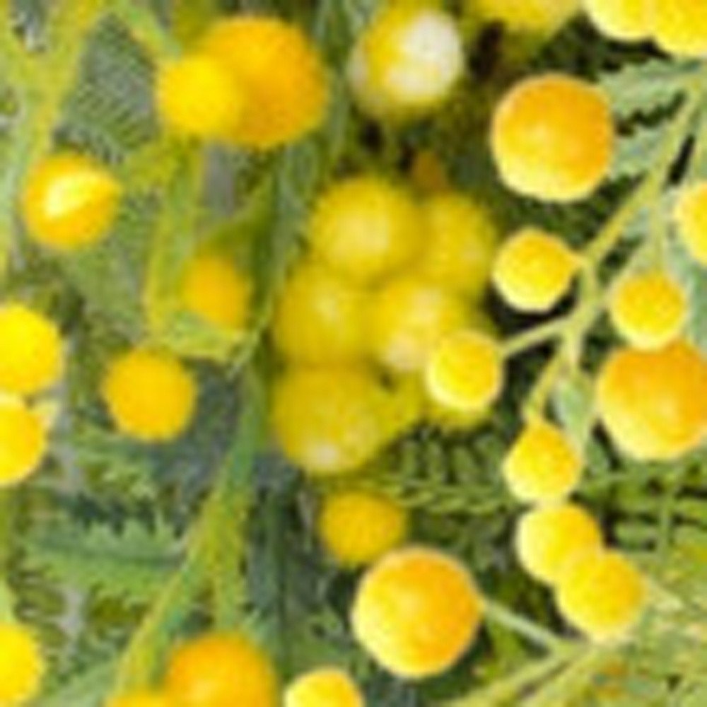 27" Green And Yellow Fern Artificial Wreath