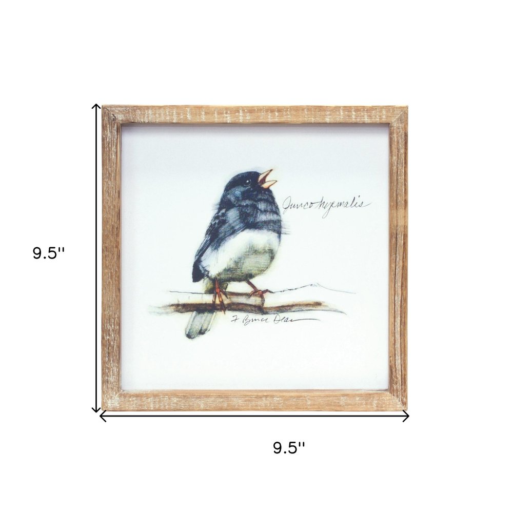 Set of Four Brown Bird Solid Wood Square Framed Art