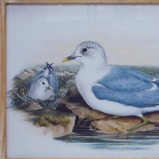 13" X 17" Natural And Blue Bird Solid Wood Framed Art
