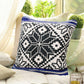 20" Blue and White Throw Pillow